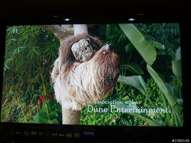 內建DARBEE OPPO BDP-103D 開箱分享