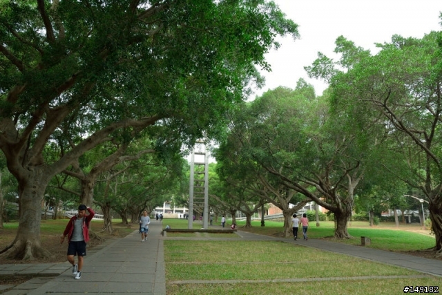 20131108~1111 一個人的花蓮+武嶺 舒壓之旅