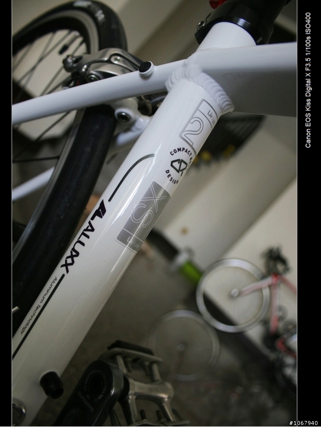 偽裝pinarello 加映老婆的AVAIL
