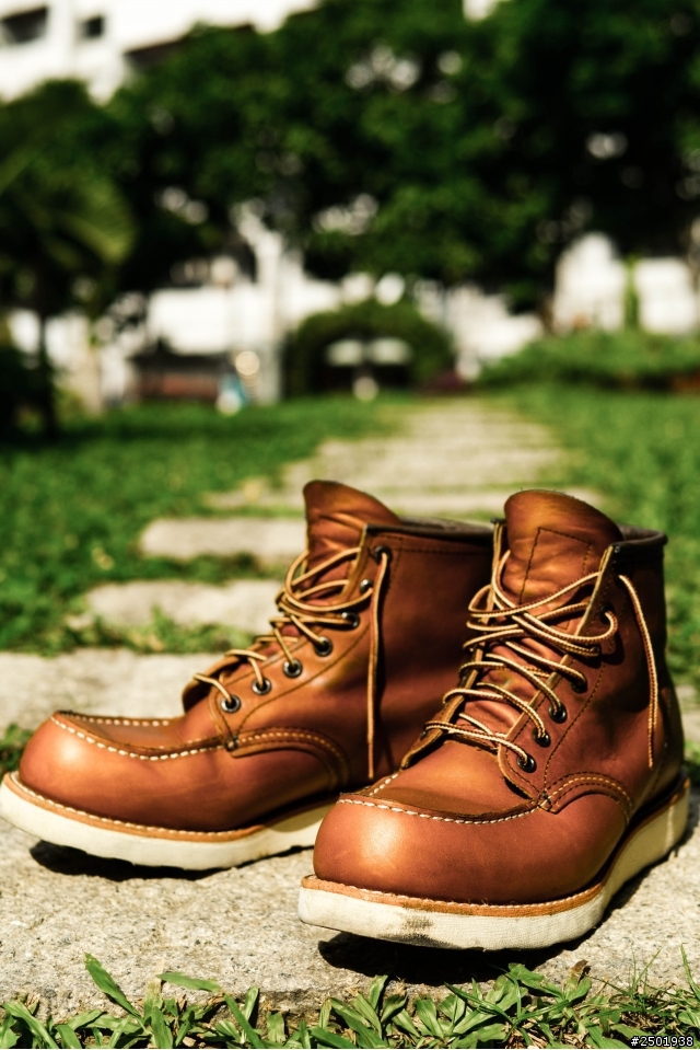 這禮拜敗家分享 Red Wing, Oak Street, 和敗一陣子的Palladium, 已及千年不敗 Timberland經典黃靴
