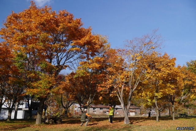 GF6與日本東北