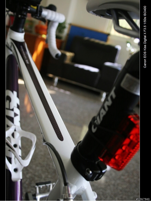 偽裝pinarello 加映老婆的AVAIL