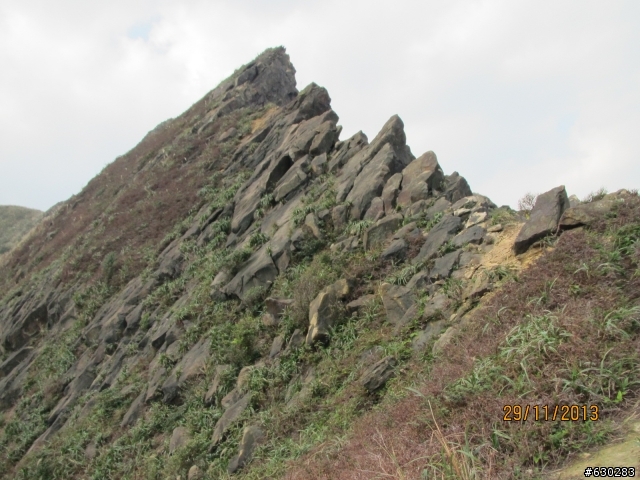 20131129 劍龍陵單攻