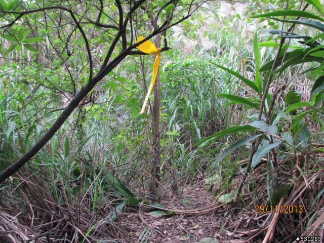 20131129 劍龍陵單攻