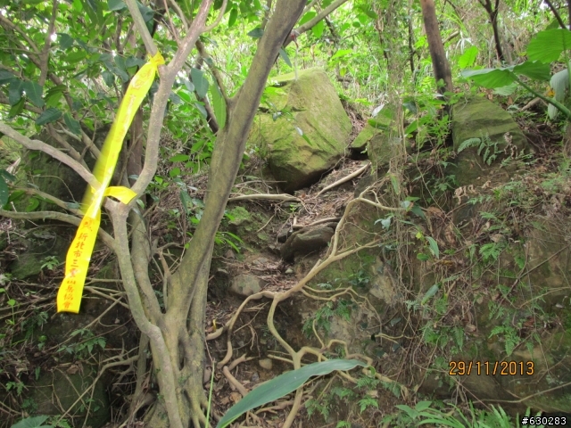 20131129 劍龍陵單攻