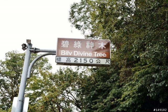 20131108~1111 一個人的花蓮+武嶺 舒壓之旅