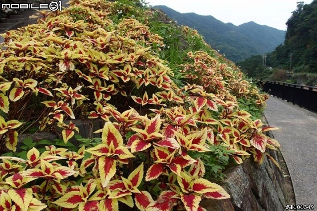 20131110 三貂嶺瀑布群、柴寮古道、侯硐一日遊