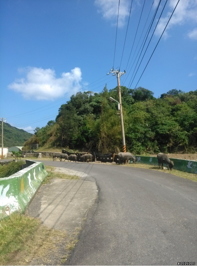 10/27~11/1 一個人六天五夜環島之旅 DAY 3