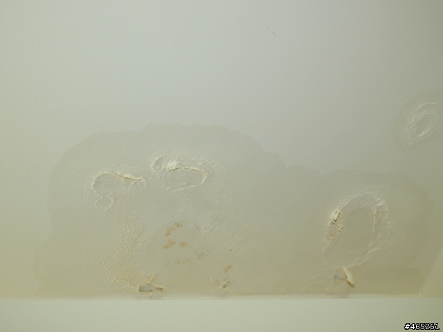 五年屋竟然漏水