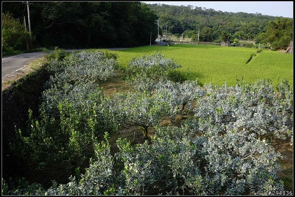 2013.10.27【單車遊記】探尋苗栗‧獨騎不落113