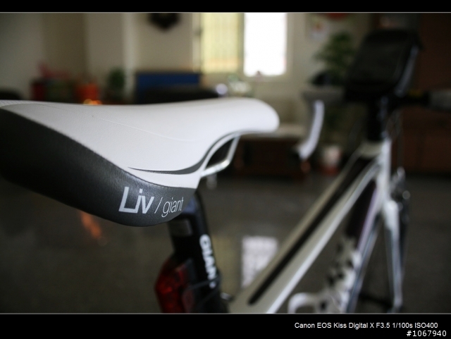 偽裝pinarello 加映老婆的AVAIL