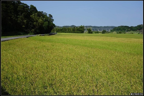 2013.10.27【單車遊記】探尋苗栗‧獨騎不落113