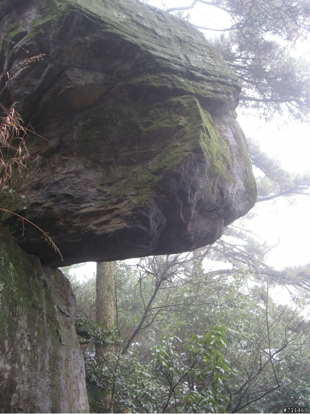 年行萬里 ~ D15 不識廬山真面目 只緣身在此山中 九江-廬山-牯嶺鎮-西線景區