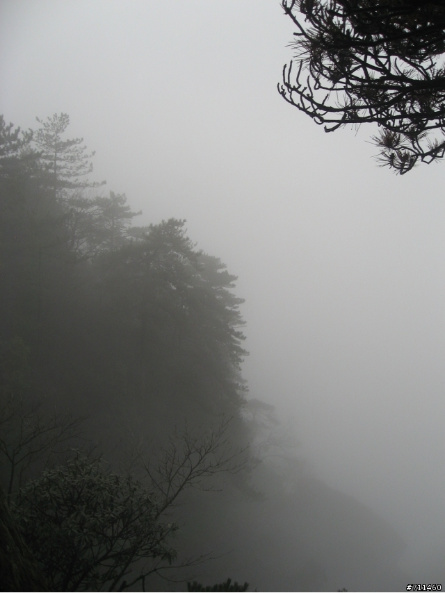 年行萬里 ~ D15 不識廬山真面目 只緣身在此山中 九江-廬山-牯嶺鎮-西線景區