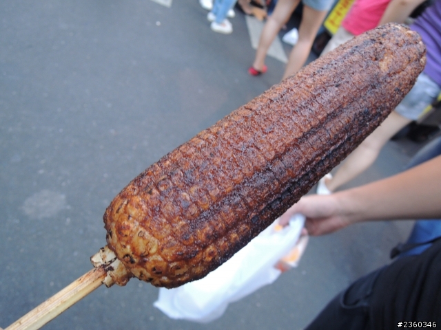 懷念之 ~ 環島之旅