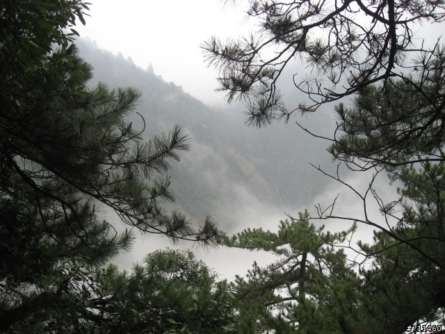 年行萬里 ~ D15 不識廬山真面目 只緣身在此山中 九江-廬山-牯嶺鎮-西線景區