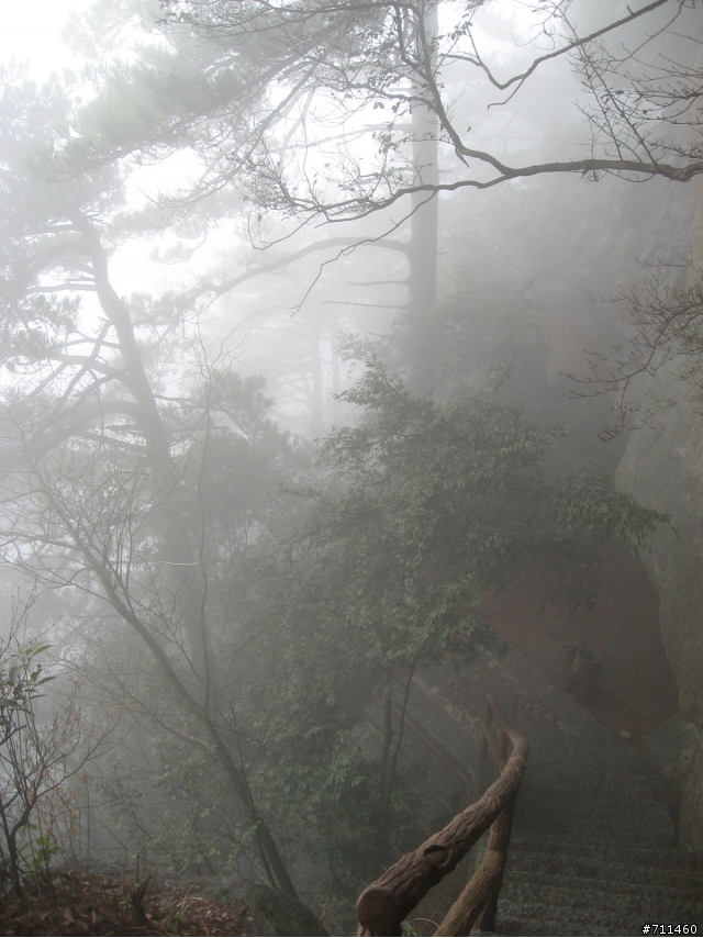 年行萬里 ~ D15 不識廬山真面目 只緣身在此山中 九江-廬山-牯嶺鎮-西線景區