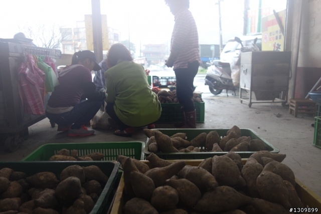 2013小雙塔,御風飛翔鐵馬行之極北棧,