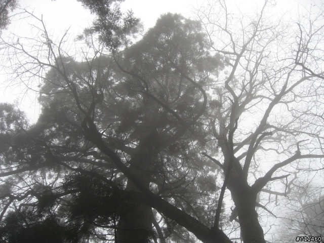 年行萬里 ~ D15 不識廬山真面目 只緣身在此山中 九江-廬山-牯嶺鎮-西線景區