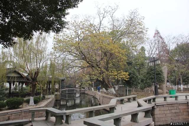 威龍中國之旅-杭州、上海、蘇州(第二日)鹽官古鎮、海寧、上海