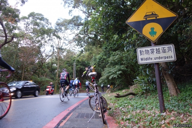 2013年Neverstop 永不放棄封關賽,挑戰陽金P字山道,