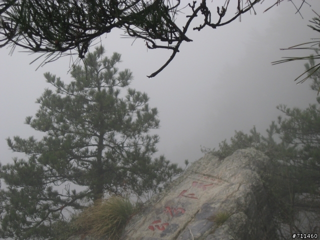 年行萬里 ~ D15 不識廬山真面目 只緣身在此山中 九江-廬山-牯嶺鎮-西線景區