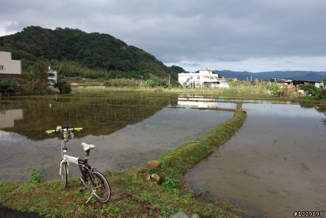 2013年Neverstop 永不放棄封關賽,挑戰陽金P字山道,