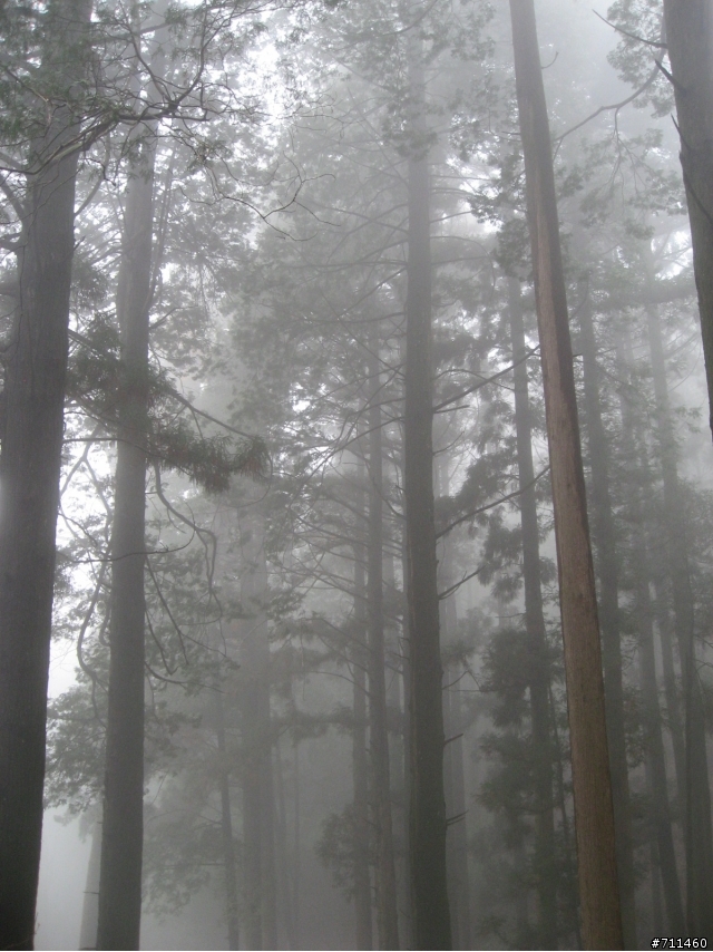 年行萬里 ~ D15 不識廬山真面目 只緣身在此山中 九江-廬山-牯嶺鎮-西線景區