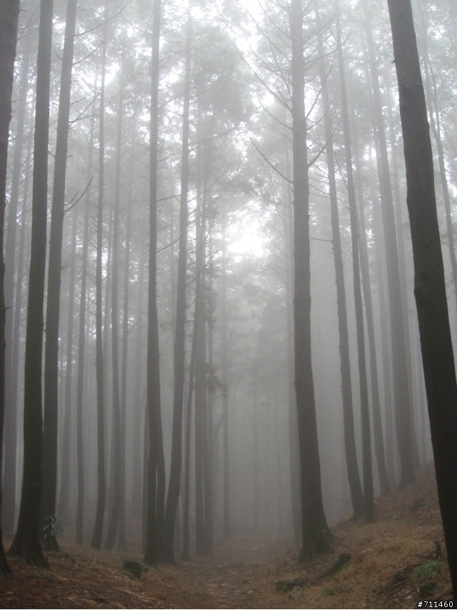 年行萬里 ~ D15 不識廬山真面目 只緣身在此山中 九江-廬山-牯嶺鎮-西線景區