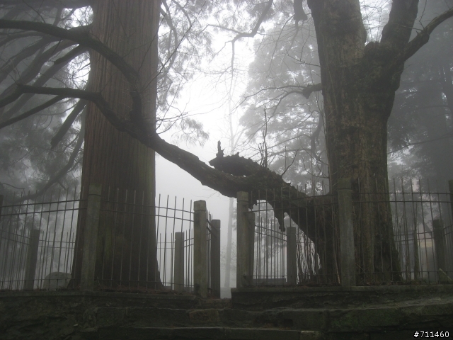 年行萬里 ~ D15 不識廬山真面目 只緣身在此山中 九江-廬山-牯嶺鎮-西線景區