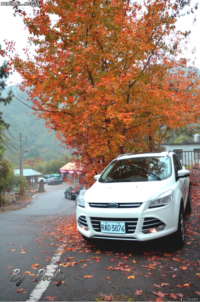 THE ALL-NEW KUGA 24小時免費開回家體驗活動--與KUGA賞楓去!