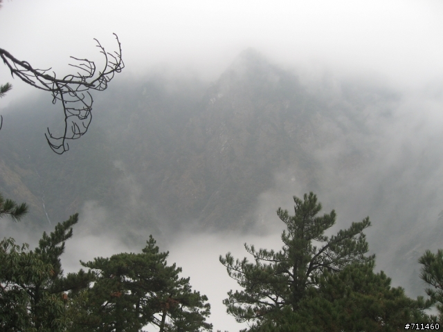 年行萬里 ~ D15 不識廬山真面目 只緣身在此山中 九江-廬山-牯嶺鎮-西線景區