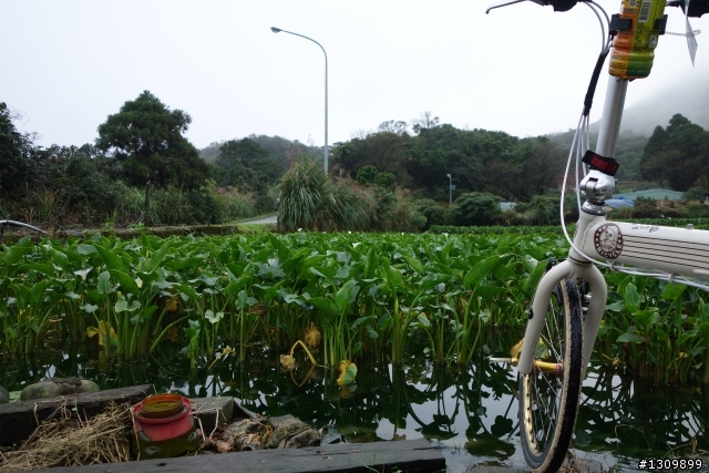 2013年Neverstop 永不放棄封關賽,挑戰陽金P字山道,