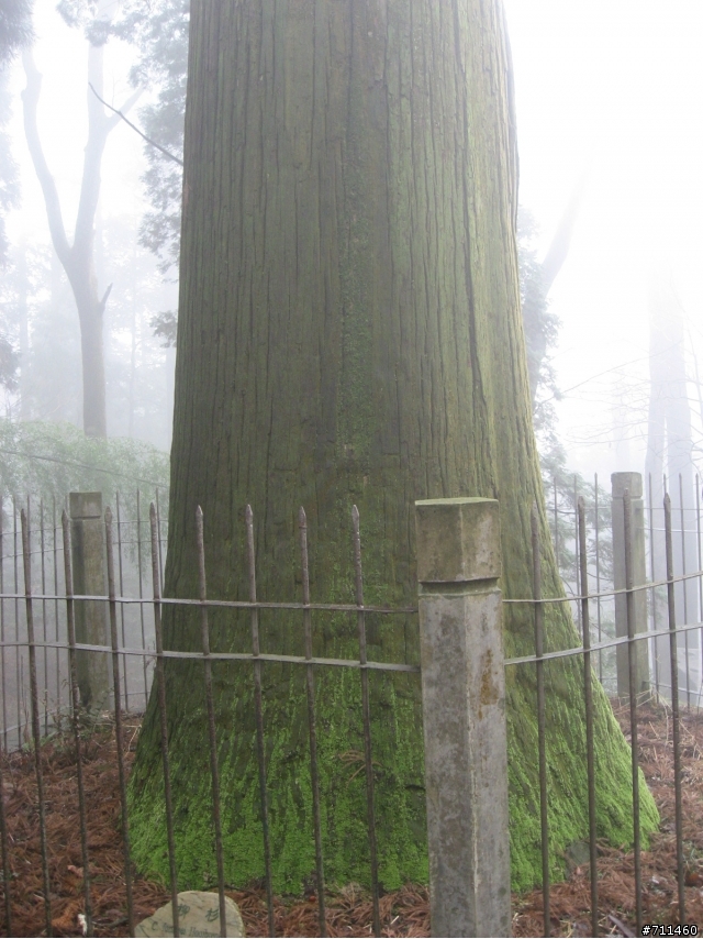 年行萬里 ~ D15 不識廬山真面目 只緣身在此山中 九江-廬山-牯嶺鎮-西線景區