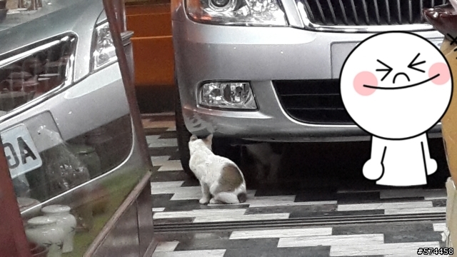 SKODA Octavia 1.2 TSI (亮銀) 小小開箱