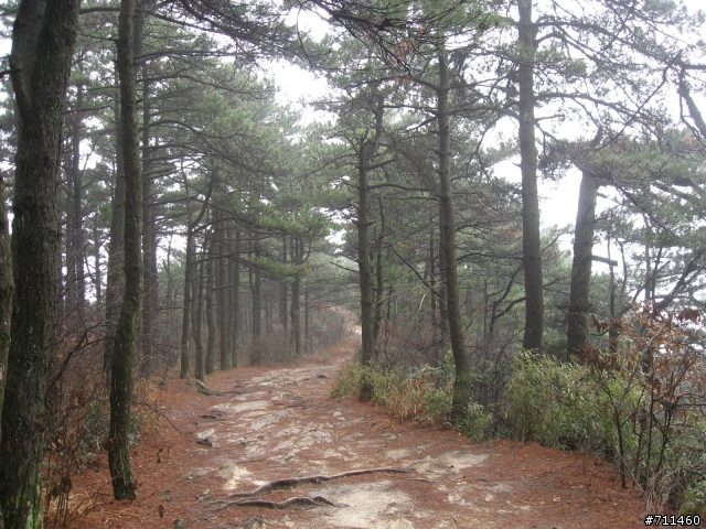 年行萬里 ~ D15 不識廬山真面目 只緣身在此山中 九江-廬山-牯嶺鎮-西線景區