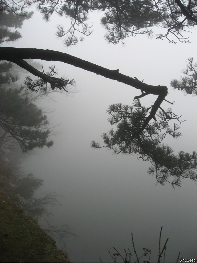 年行萬里 ~ D15 不識廬山真面目 只緣身在此山中 九江-廬山-牯嶺鎮-西線景區
