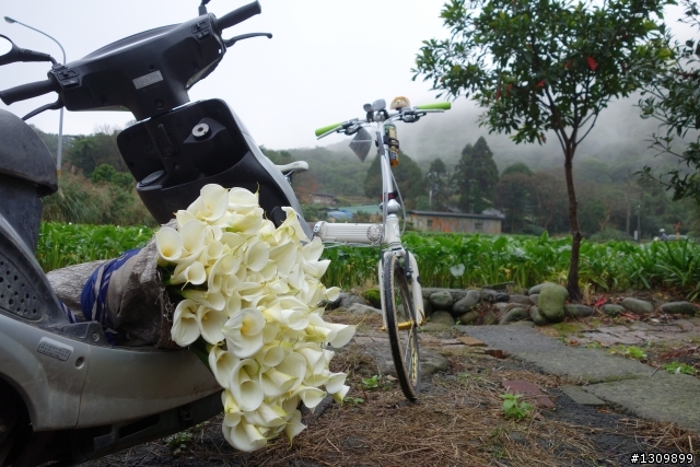 2013年Neverstop 永不放棄封關賽,挑戰陽金P字山道,