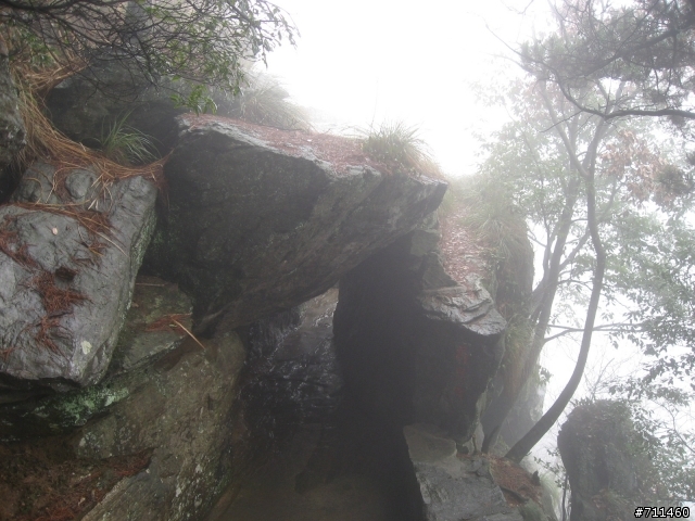 年行萬里 ~ D15 不識廬山真面目 只緣身在此山中 九江-廬山-牯嶺鎮-西線景區