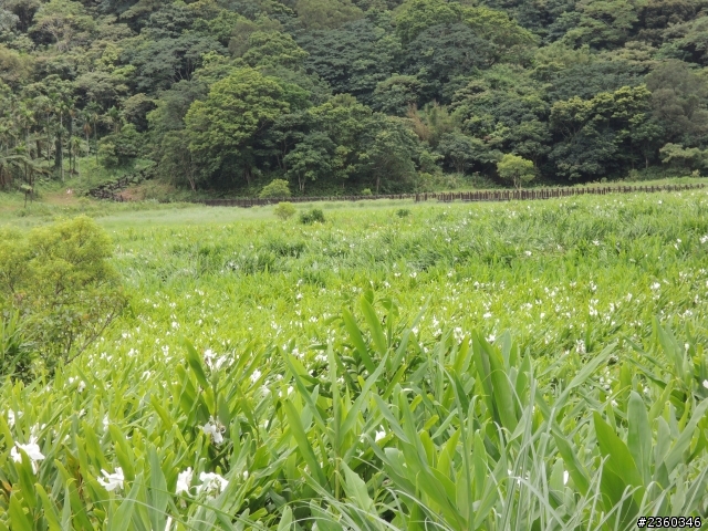 懷念之 ~ 環島之旅