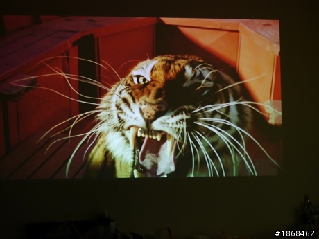 遲來的新娘模式 ViewSonic PJD7820HD 3D 投影機開箱文