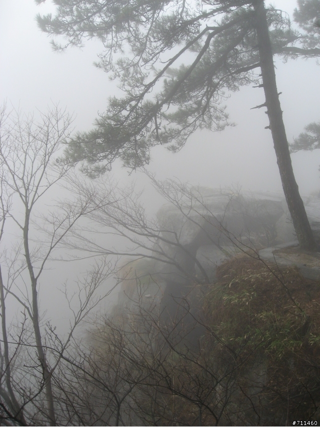 年行萬里 ~ D15 不識廬山真面目 只緣身在此山中 九江-廬山-牯嶺鎮-西線景區