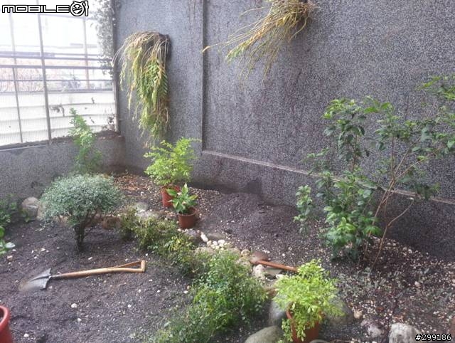 花園重整分享