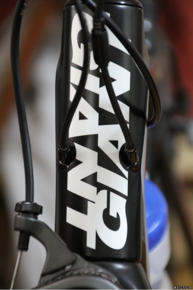 Giant Tcr Adv 1 開箱文 (圖多)