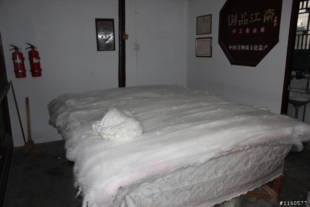 威龍中國之旅-杭州、上海、蘇州(第二日)鹽官古鎮、海寧、上海