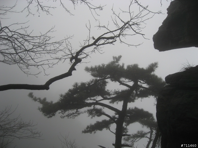 年行萬里 ~ D15 不識廬山真面目 只緣身在此山中 九江-廬山-牯嶺鎮-西線景區