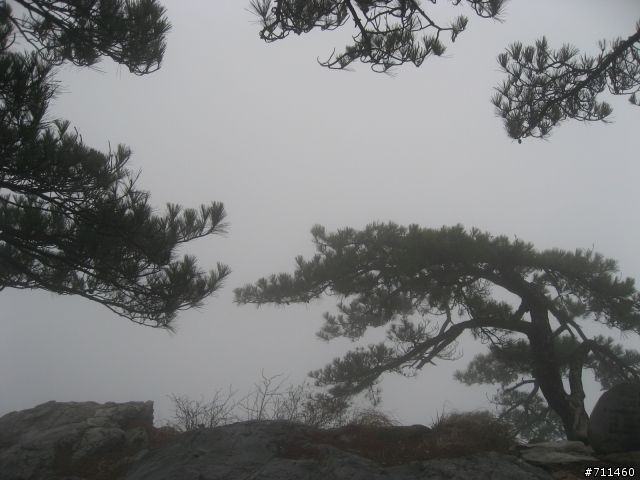 年行萬里 ~ D15 不識廬山真面目 只緣身在此山中 九江-廬山-牯嶺鎮-西線景區