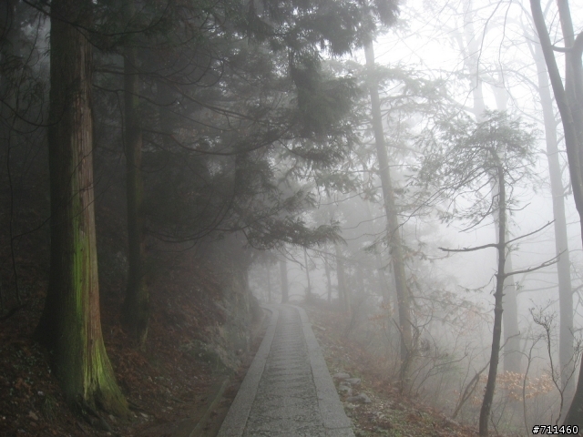 年行萬里 ~ D15 不識廬山真面目 只緣身在此山中 九江-廬山-牯嶺鎮-西線景區