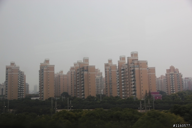威龍中國之旅-杭州、上海、蘇州(第二日)鹽官古鎮、海寧、上海
