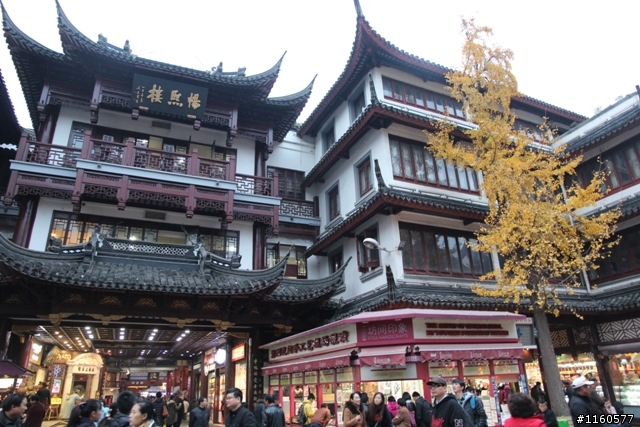 威龍中國之旅-杭州、上海、蘇州(第二日)鹽官古鎮、海寧、上海